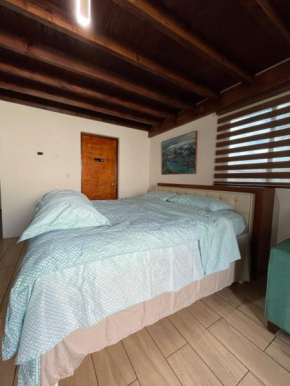 TL Apartment